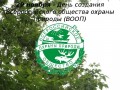29 ноября «День создания Всероссийского общества охраны природы (ВООП)